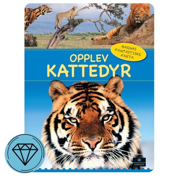 Opplev kattedyr 