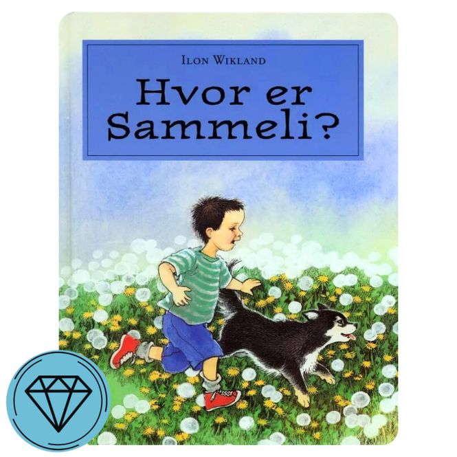 Hovedbilde Hvor er Sammeli?