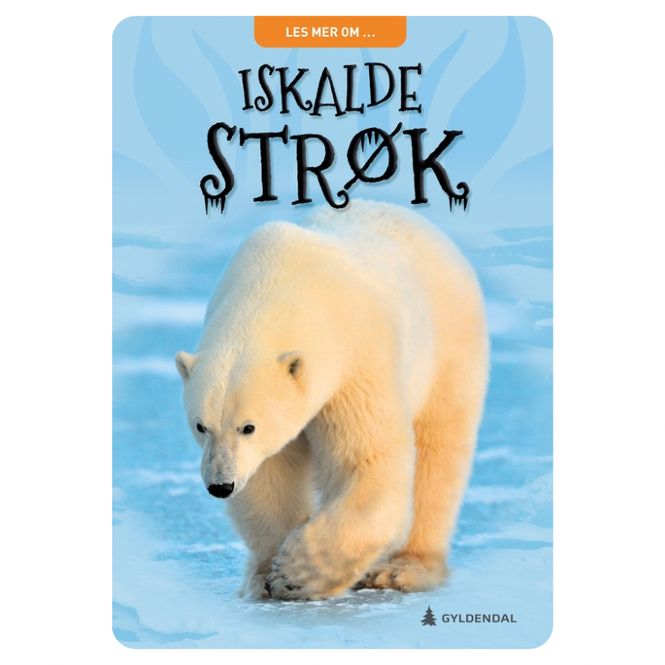 Hovedbilde Iskalde strøk 