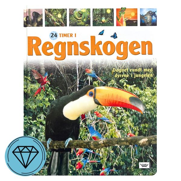 24 timer i regnskogen 