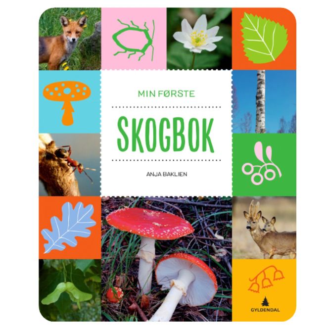 Hovedbilde Min første skogbok 