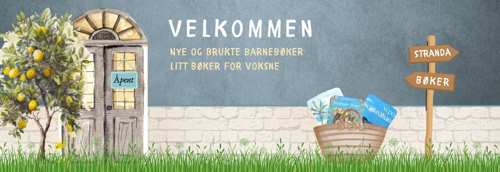 Brukte barnebøker