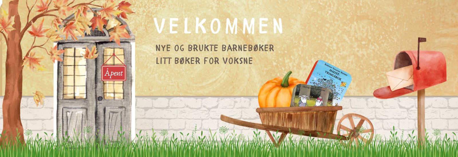Brukte barnebøker