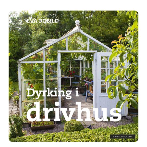 Dyrking i drivhus 