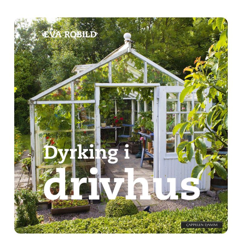 Dyrking i drivhus 